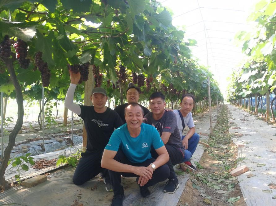 BG大游(中国)唯一官方网站