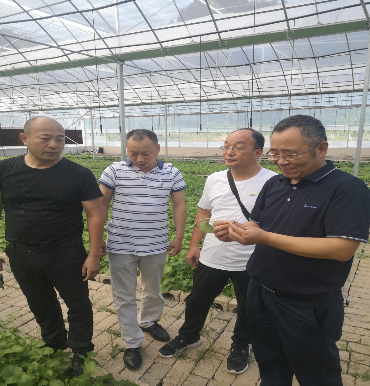 BG大游(中国)唯一官方网站