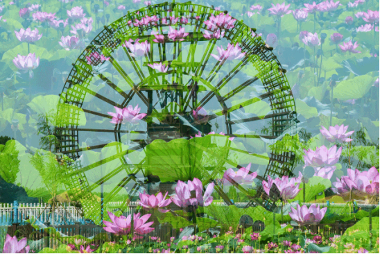 J9集团|国际站官网